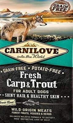 Fresh Carp & Trout