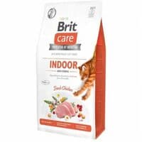 Indoor anti-stress Fresh Chicken