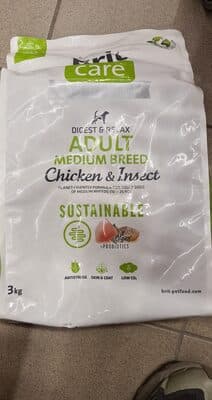 chicken and insect