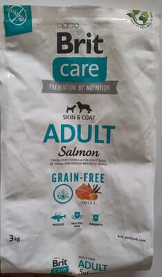 salmon