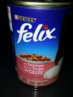 Félix au saumon et à la truite en gelée