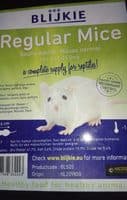 Souris Blanches Adultes