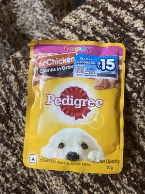 pedigree chicken chunks in gravy