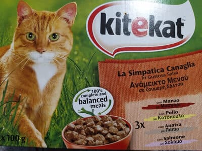 kitekat la Simpatica Canaglia