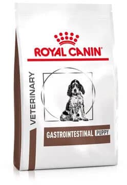 Gastrointestinal Puppy pour chiot