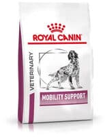 Mobility Support