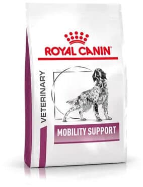 Mobility Support