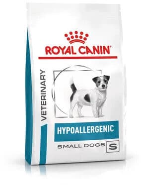 Hypoallergenic Small Dog
