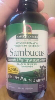 Sambucus