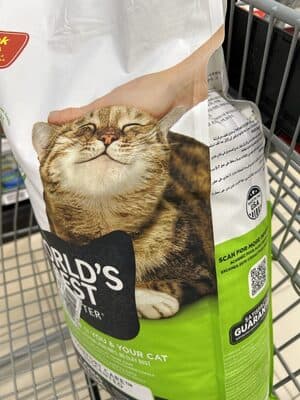Cat Litter