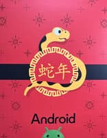 2025 Year of the Snake