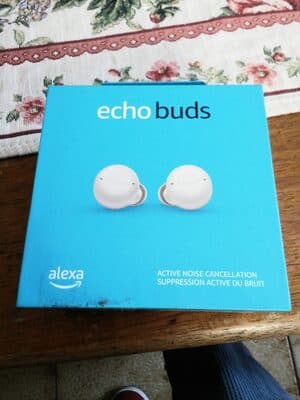 Echo buds