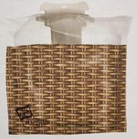 Disposable Fly Trap