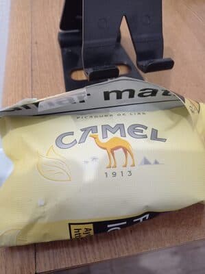 Camel