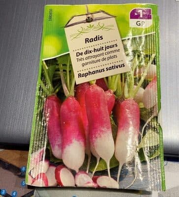 Radis De dix huit jours