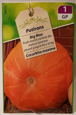 Potiron Big Max