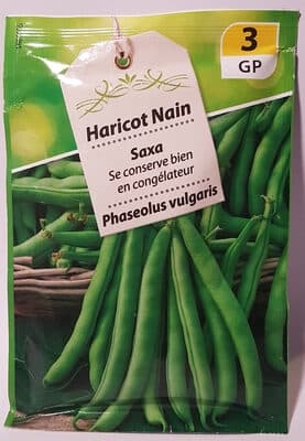 Haricot Nain Saxa