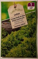 Laitue Feuille de Chêne