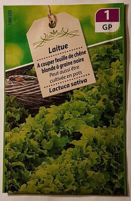 Laitue Feuille de Chêne