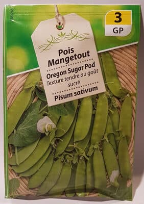 pois Mangetout Oregon Sugar Pod