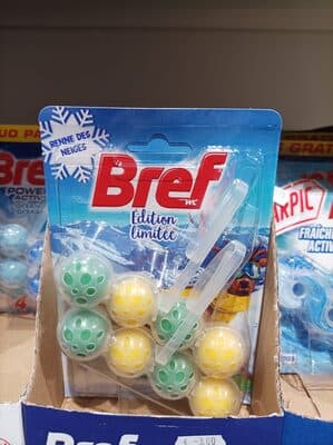 Bref Renne des neiges