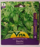 Basilic Grand Vert