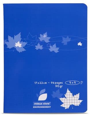 Cahier piqure 17x22cm petits carreaux