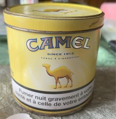Camel