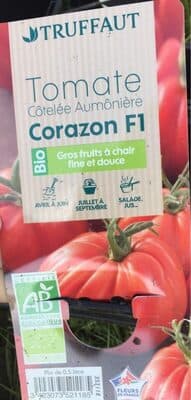 Tomate Côtelée Aumônière Corazon F1