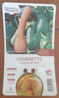 Courgette longue de Nice