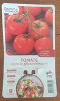 Tomate ronde en grappe Premio F1