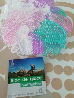 bloc de glace réutilisable