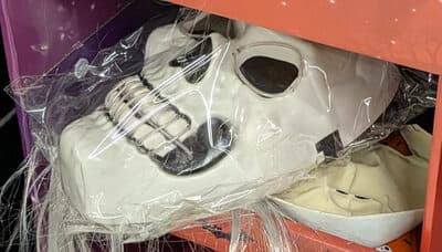 Masque Sorciere