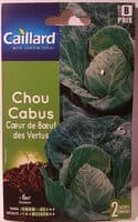 Chou Cabus Cœur de Bœuf des Vertus
