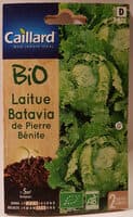Laitue Batavia de Pierre Bénite
