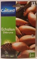 Echalion Zébrune
