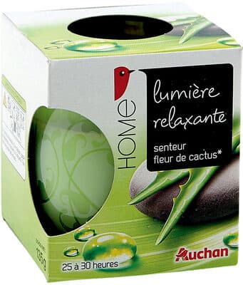 Bougie contenant parfumée fleur cactus