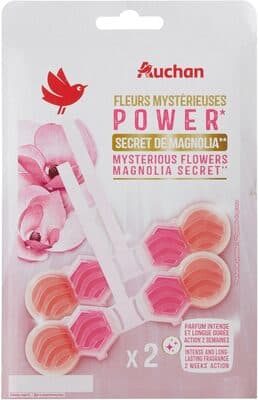 Blocs nettoyants puissants WC MAGNIOLA