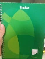 Cahier 100 pages petits carreaux