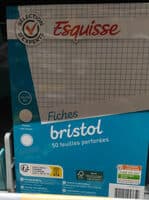 50 fiches bristol 148 x 210 mm blanches quadrillées 5x5 perforées