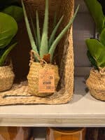 Plante artificielle