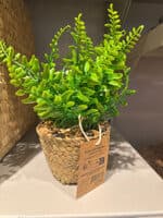 Plante artificielle dans panier tressé