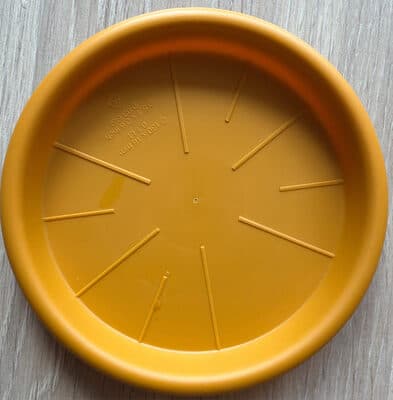 Soucoupe ronde jaune miel 13cm