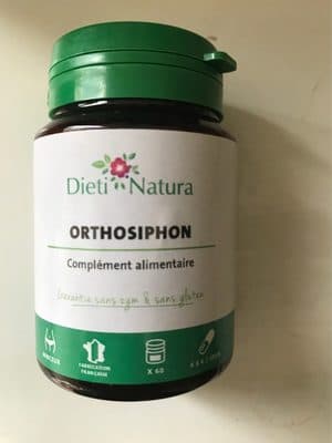 Orthosiphon