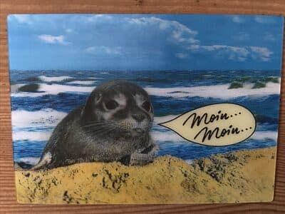 3D-Postkarte „Robbe“