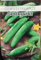 Gemüsepflanze Snackgurke