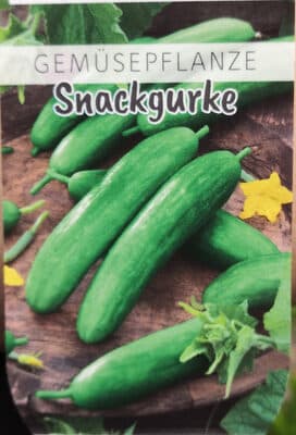 Gemüsepflanze Snackgurke