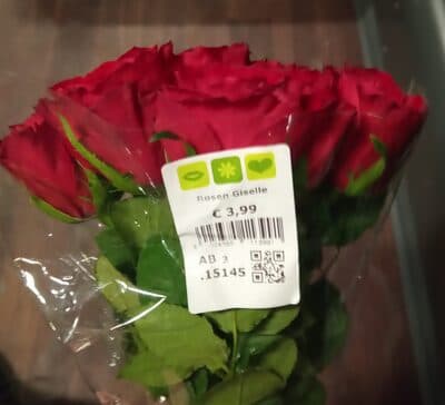 Rosen Giselle