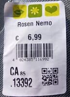 Rosen Nemo