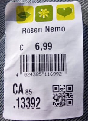 Rosen Nemo